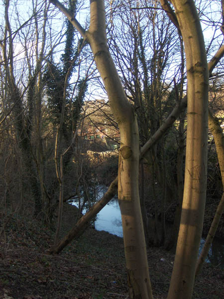 jesmond dene, newcastle, uk